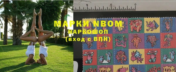 сатива Белоозёрский