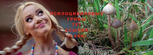 кокс Белокуриха