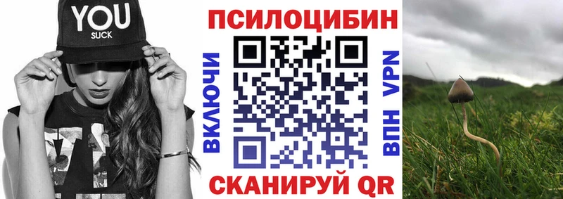 Галлюциногенные грибы мухоморы  Санкт-Петербург 